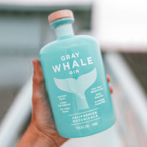 Gray whale gin