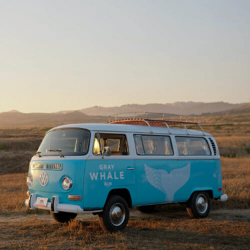 Gray whale gin VW bus