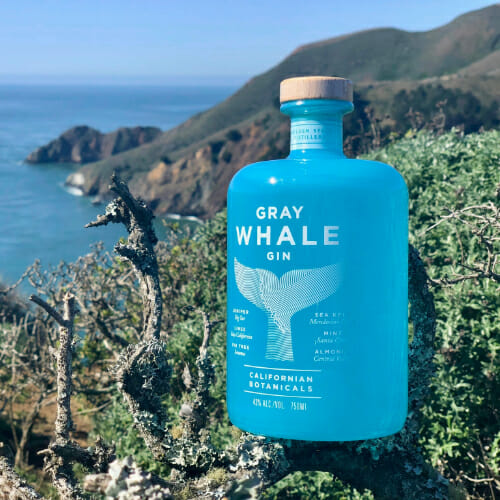 Gray whale gin with ocean background