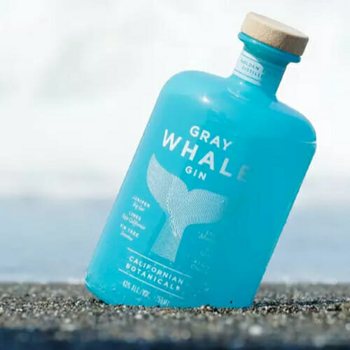 Gray whale gin