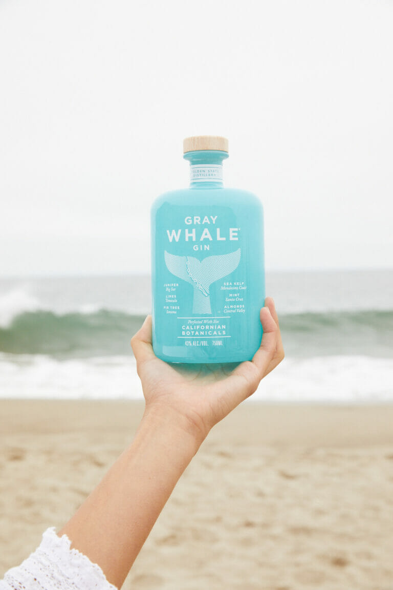 Gray Whale Gin on Beach